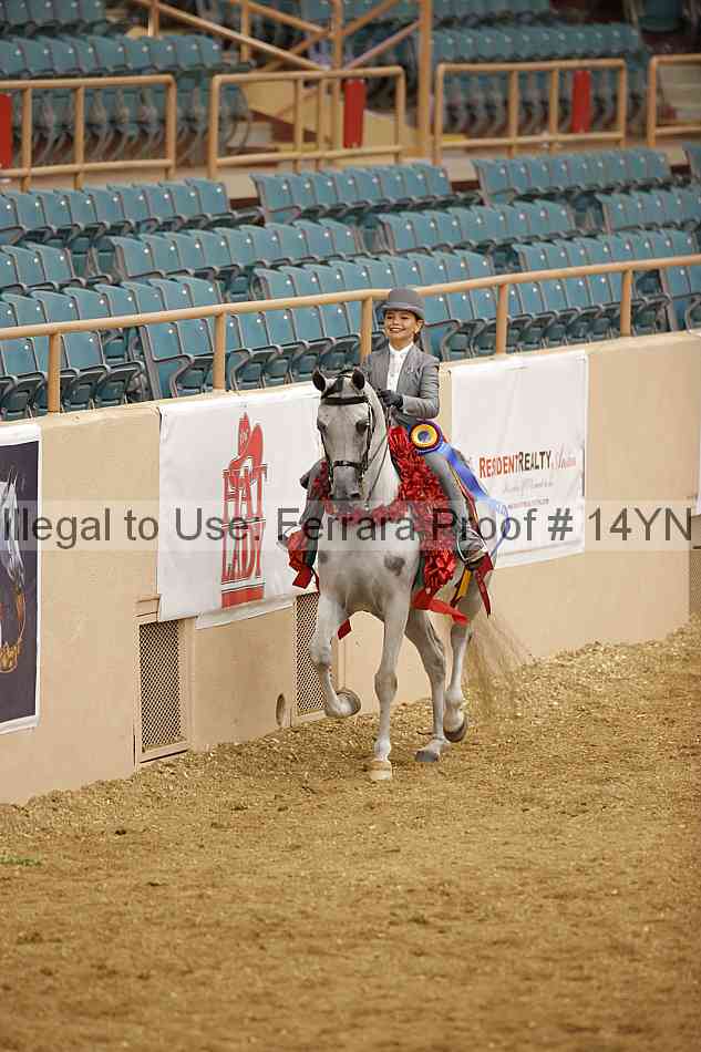 Proof 14yn_06962