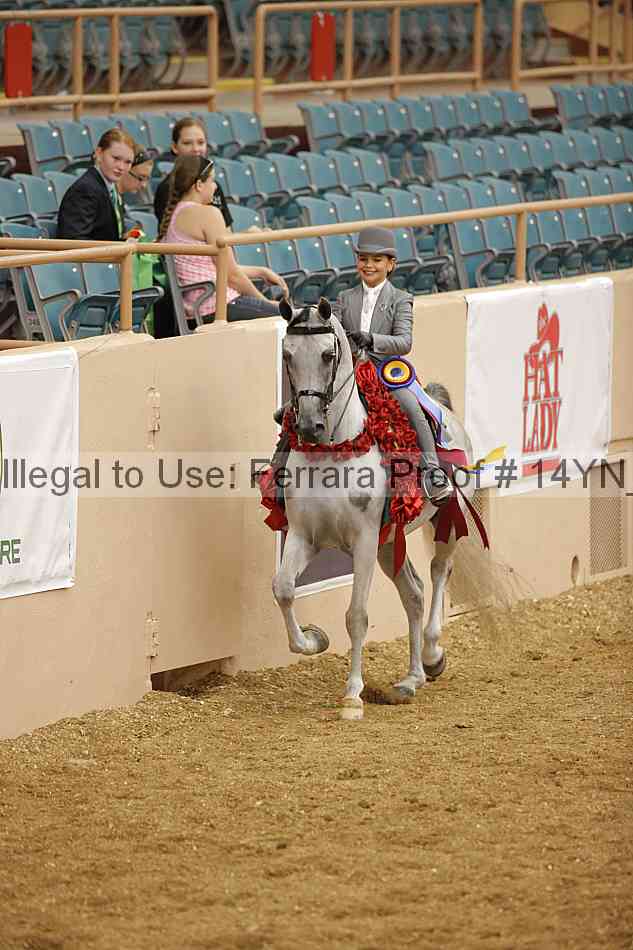 Proof 14yn_06965