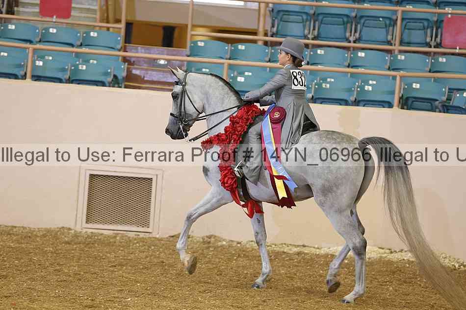 Proof 14yn_06966