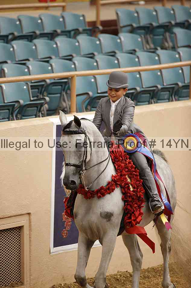 Proof 14yn_06969