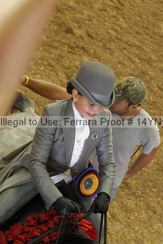 Proof 14yn_06975