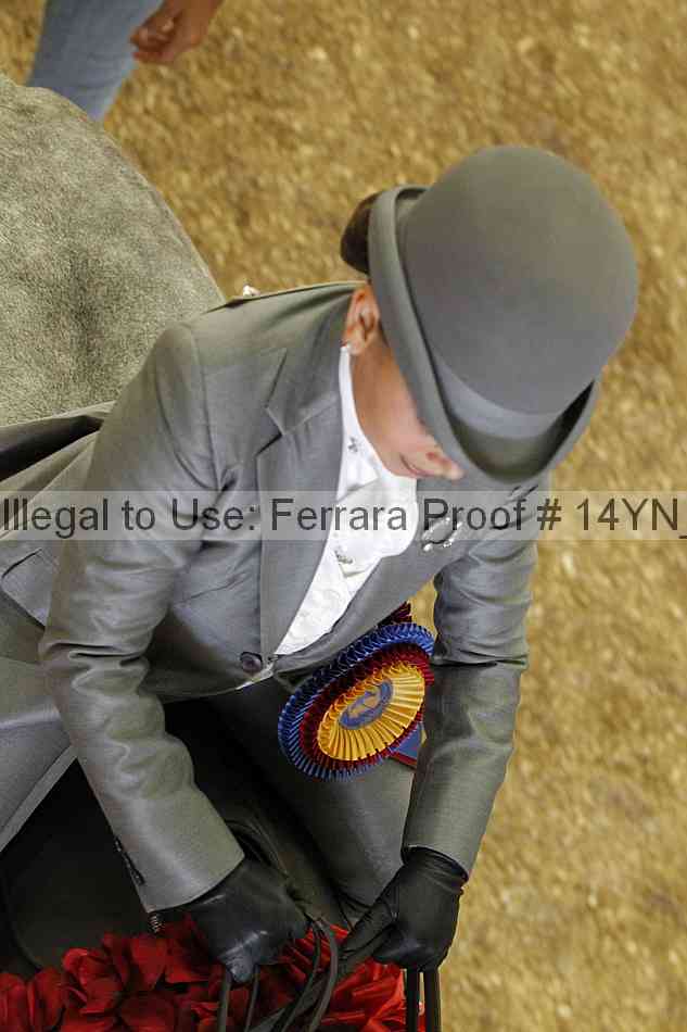 Proof 14yn_06976