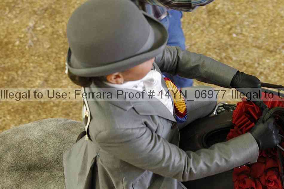 Proof 14yn_06977