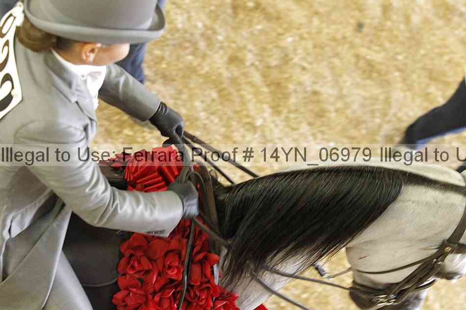 Proof 14yn_06979