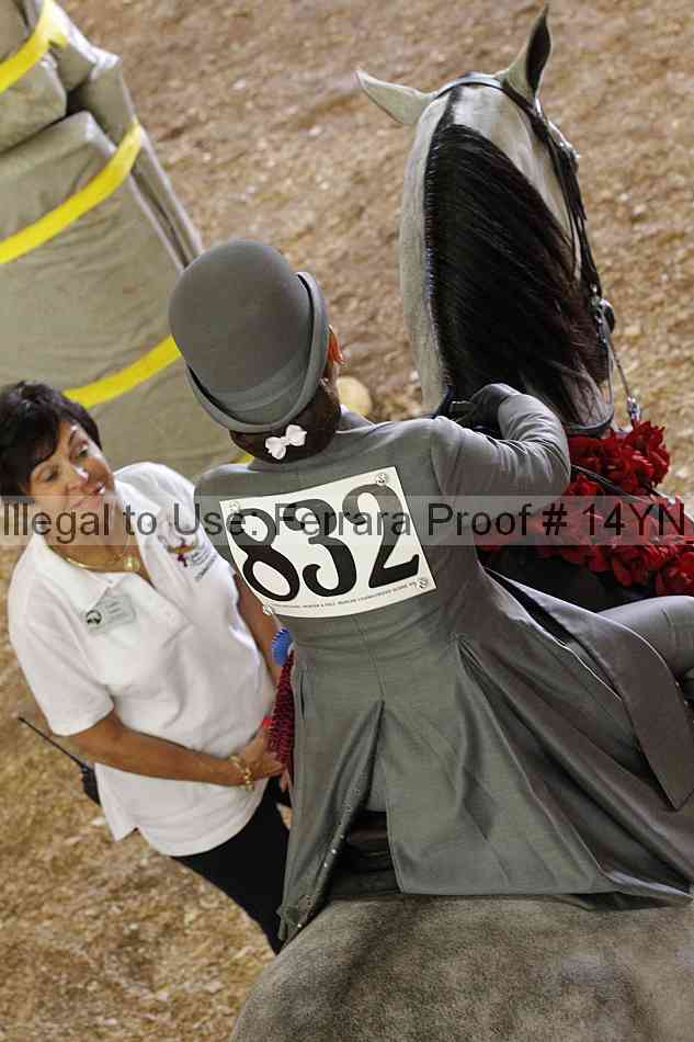 Proof 14yn_06981
