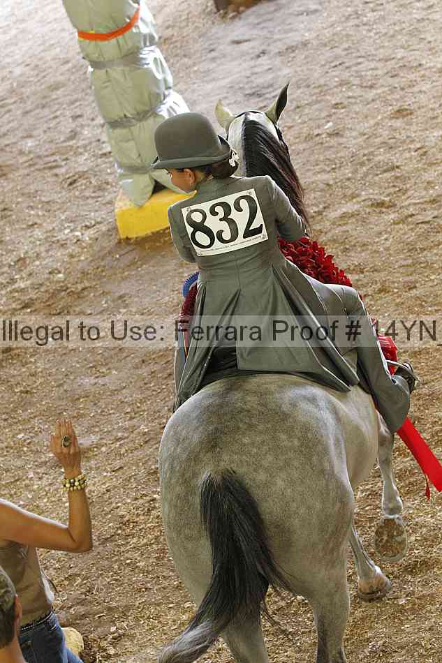 Proof 14yn_06983