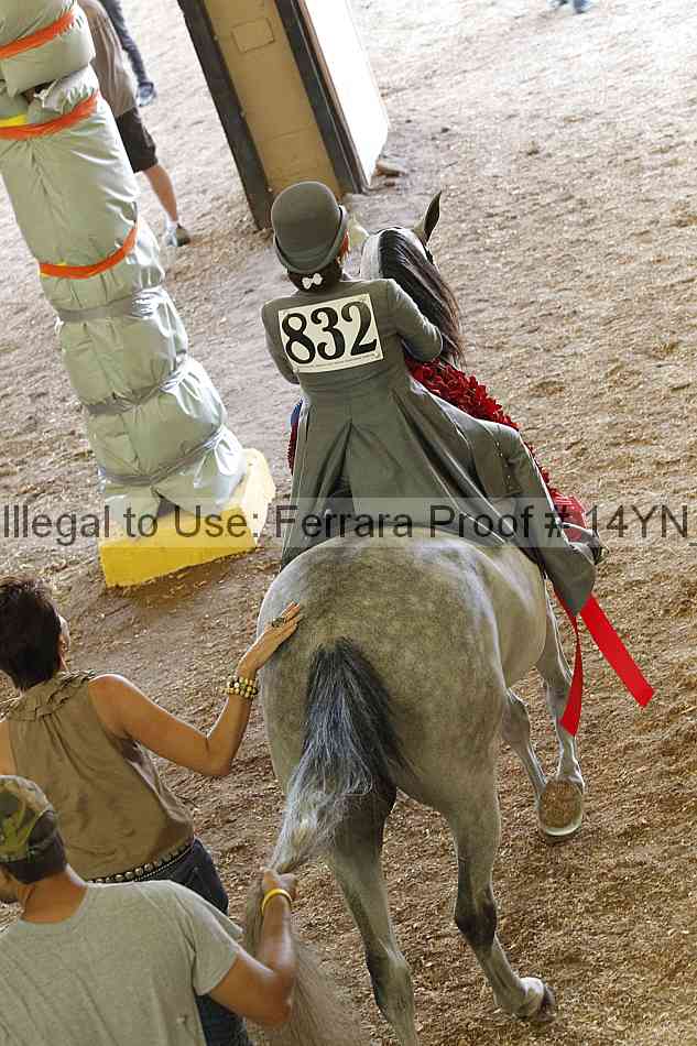 Proof 14yn_06984
