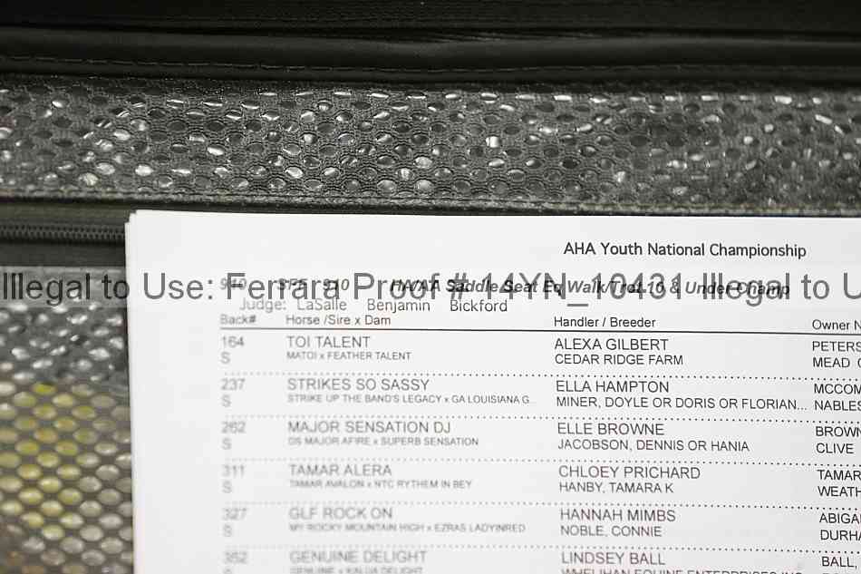 Proof 14yn_10431