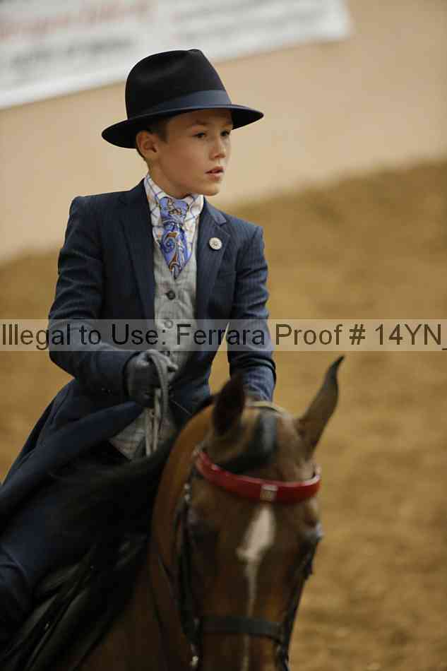 Proof 14yn_10491