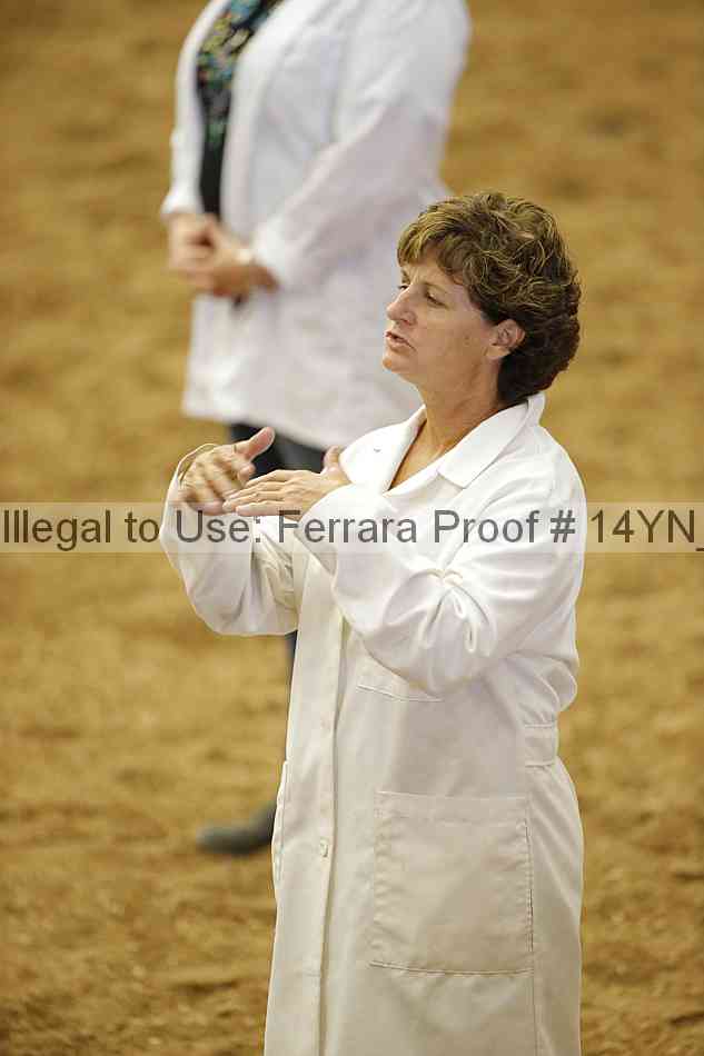 Proof 14yn_10496
