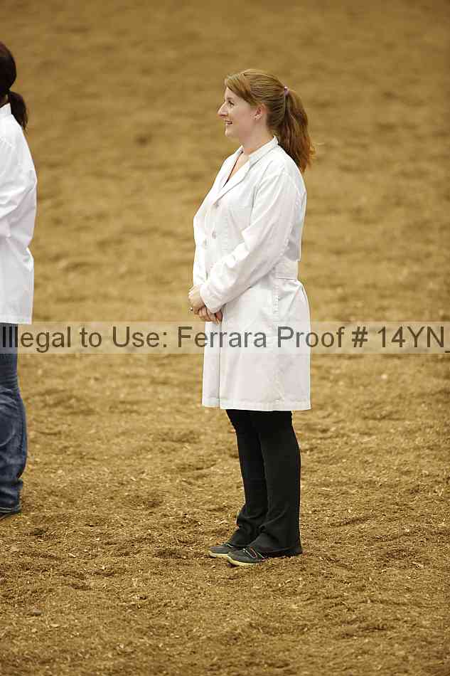 Proof 14yn_10497