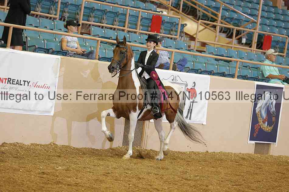 Proof 14yn_10563