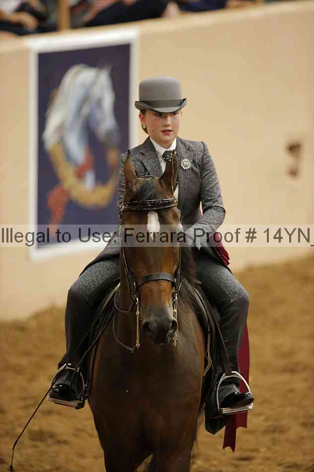 Proof 14yn_10571
