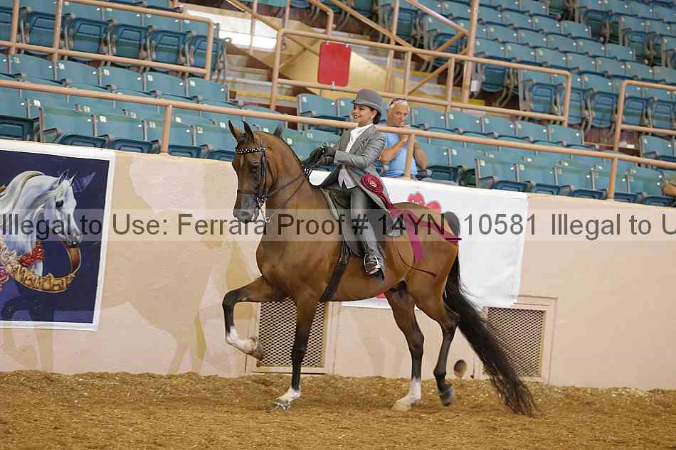 Proof 14yn_10581