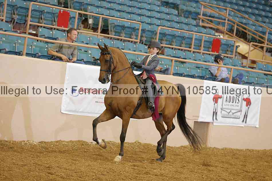 Proof 14yn_10585