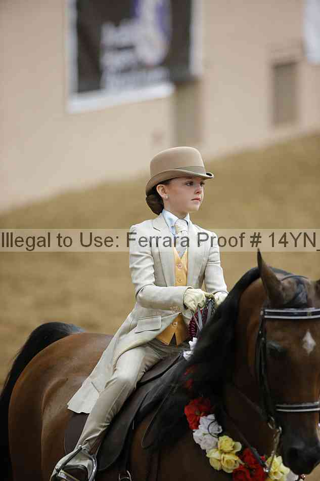 Proof 14yn_10595
