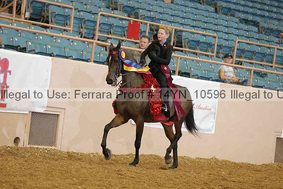 Proof 14yn_10596