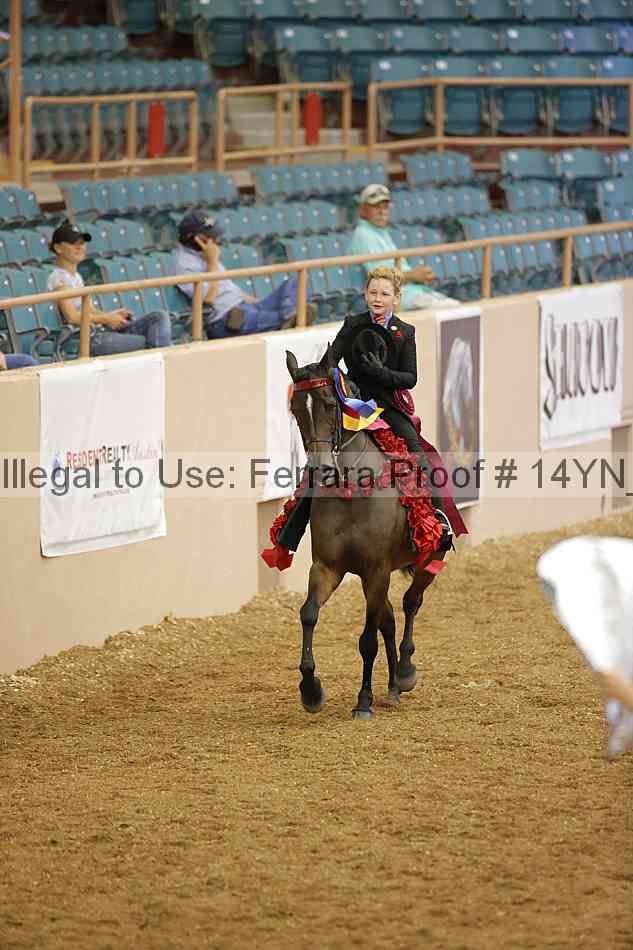 Proof 14yn_10602