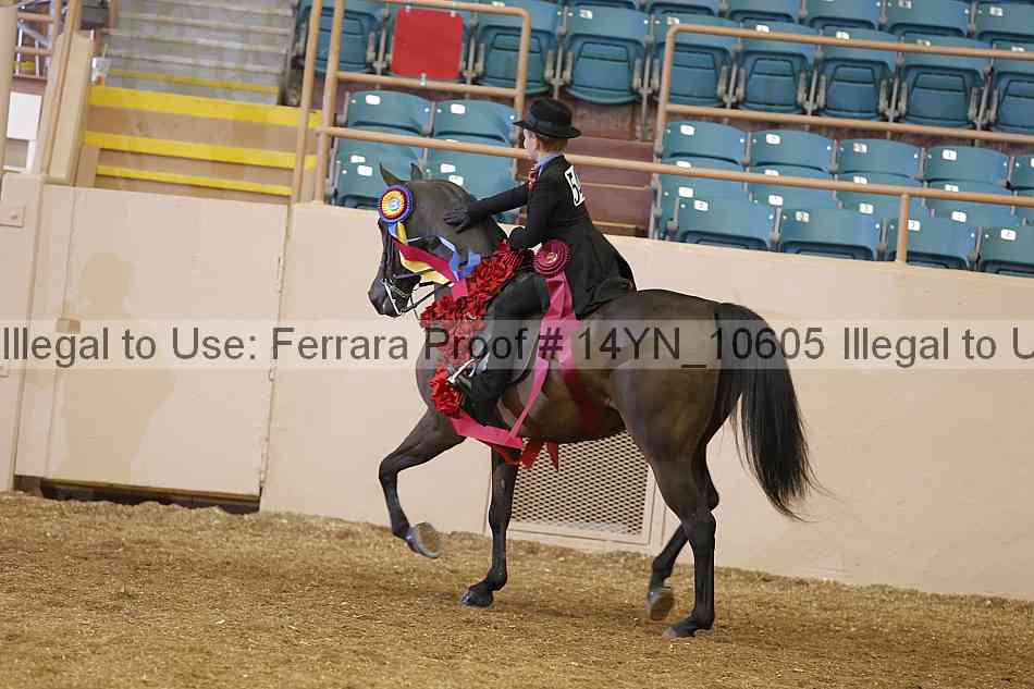 Proof 14yn_10605