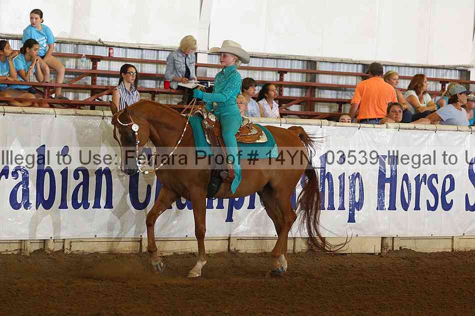 Proof 14yn_03539