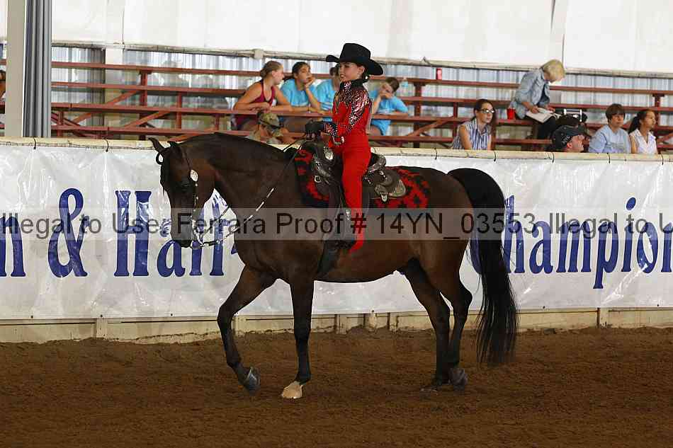 Proof 14yn_03553