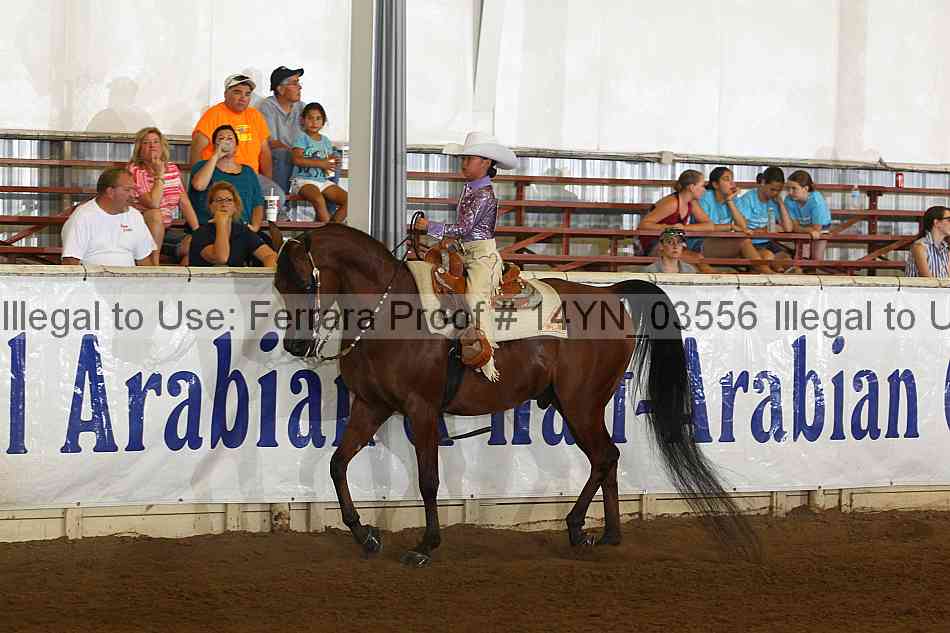 Proof 14yn_03556
