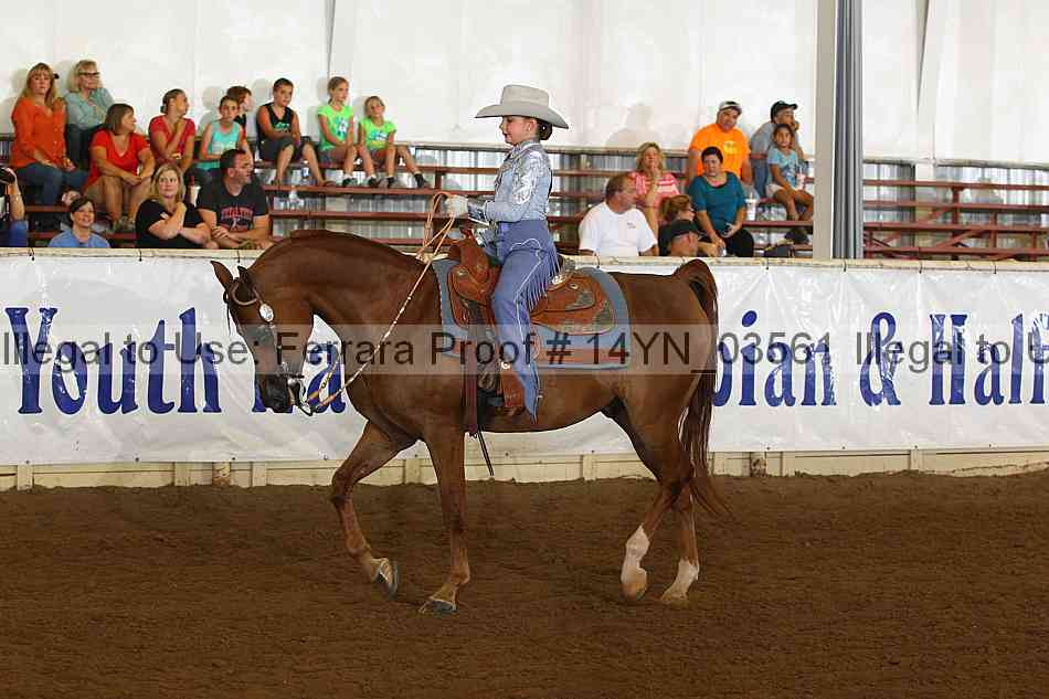 Proof 14yn_03561