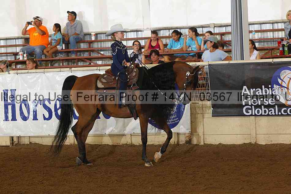 Proof 14yn_03567