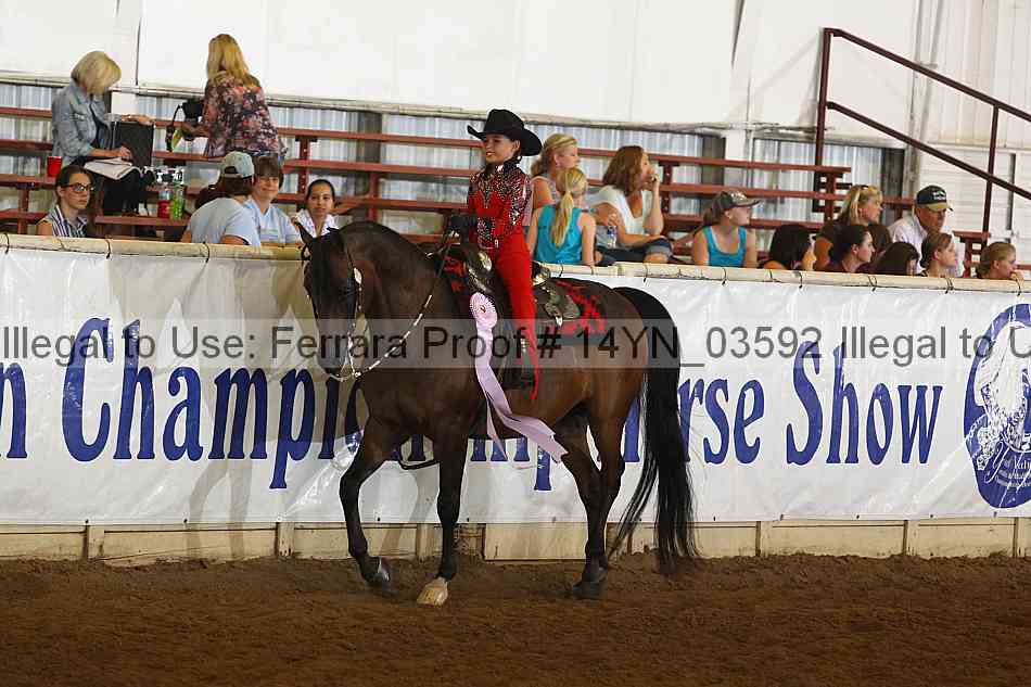 Proof 14yn_03592