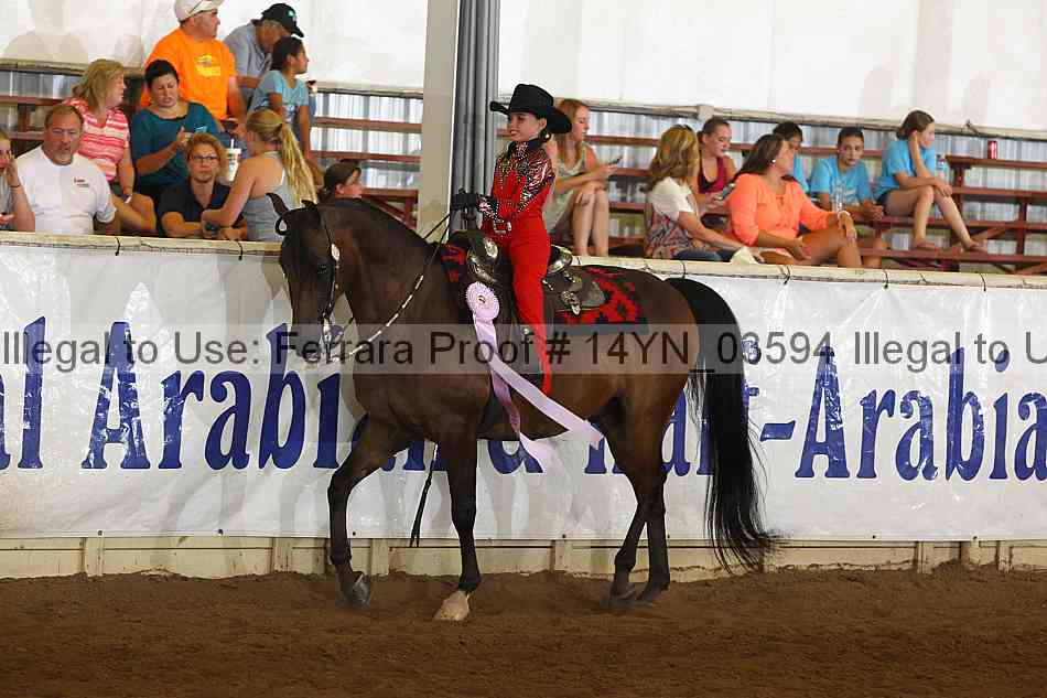Proof 14yn_03594