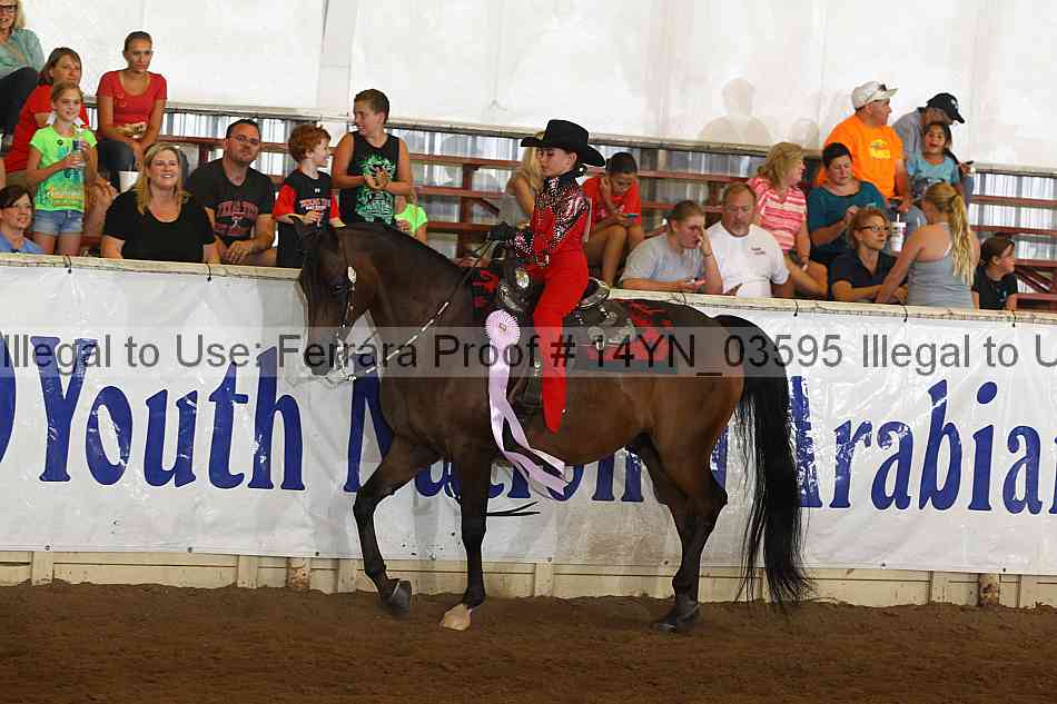 Proof 14yn_03595