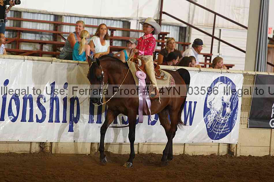 Proof 14yn_03596