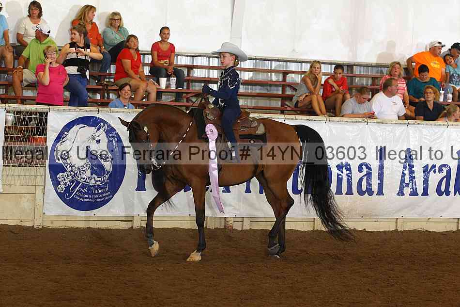 Proof 14yn_03603