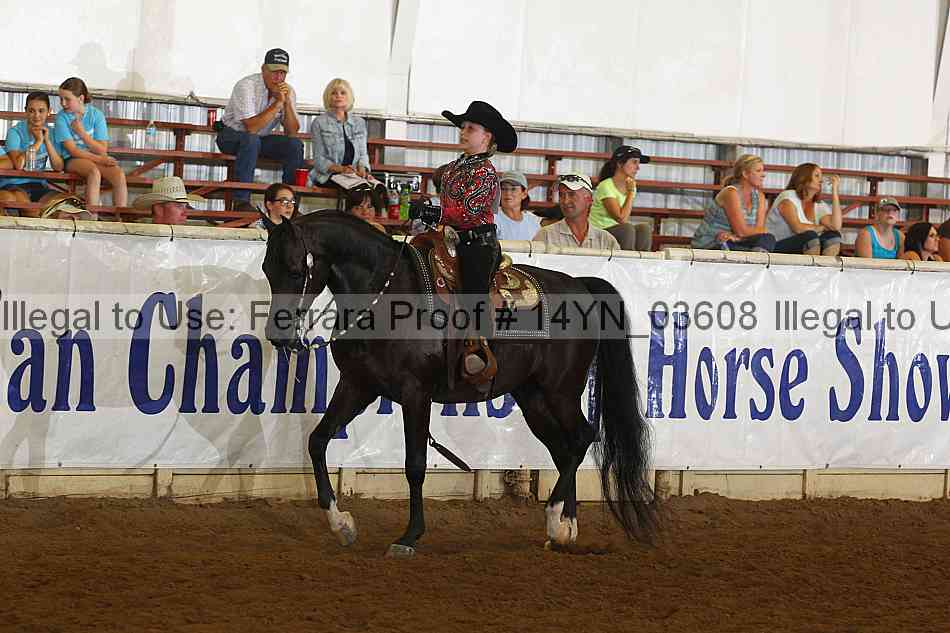 Proof 14yn_03608