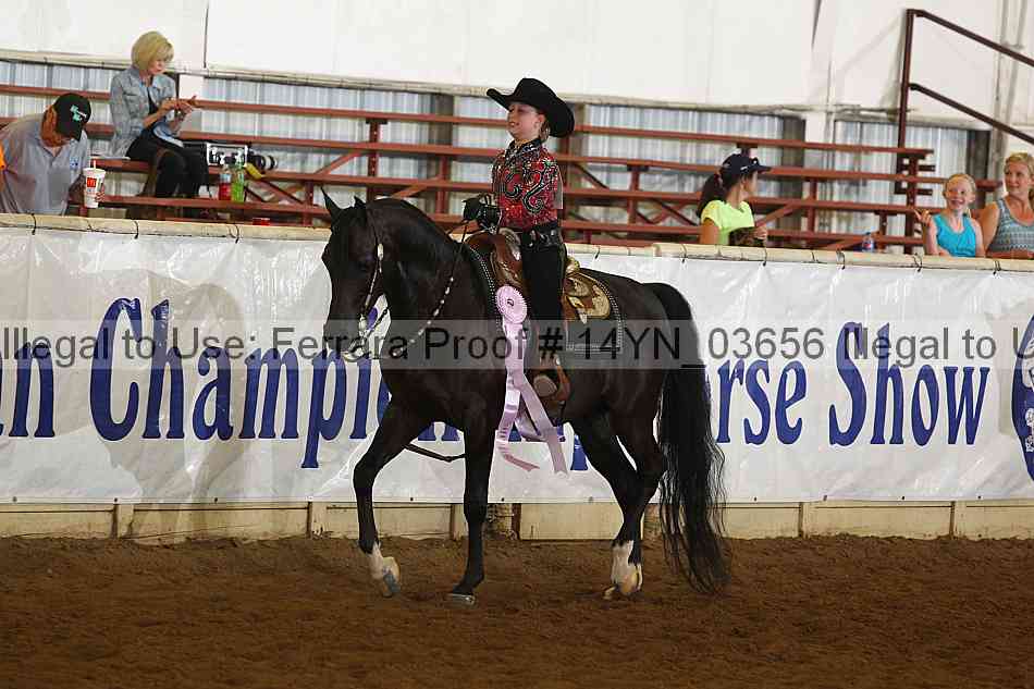 Proof 14yn_03656