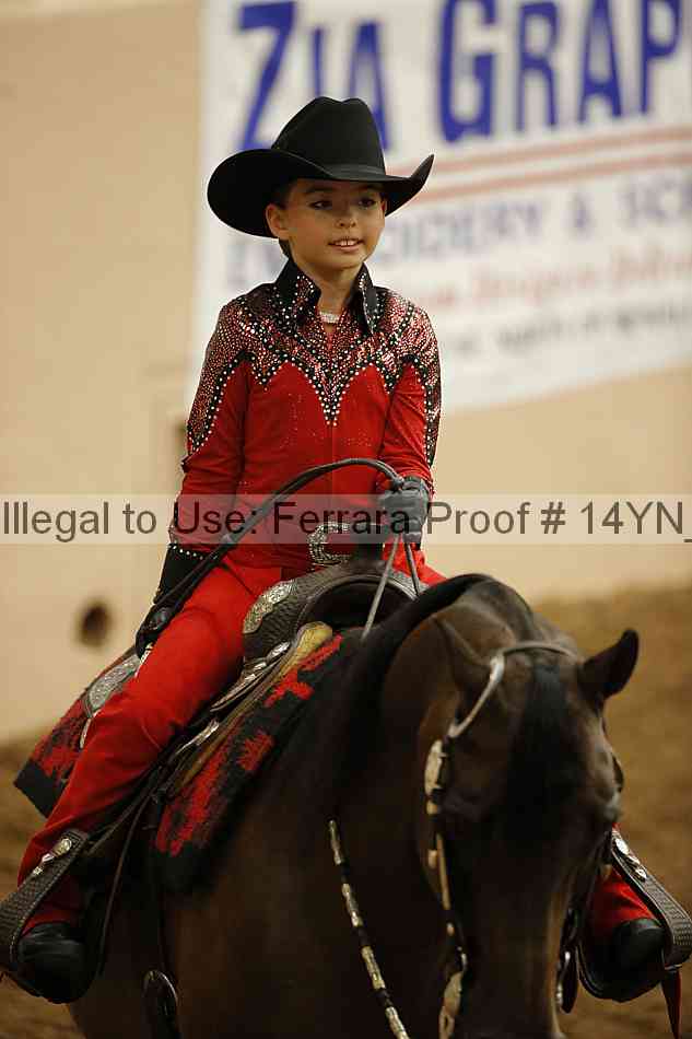 Proof 14yn_24969
