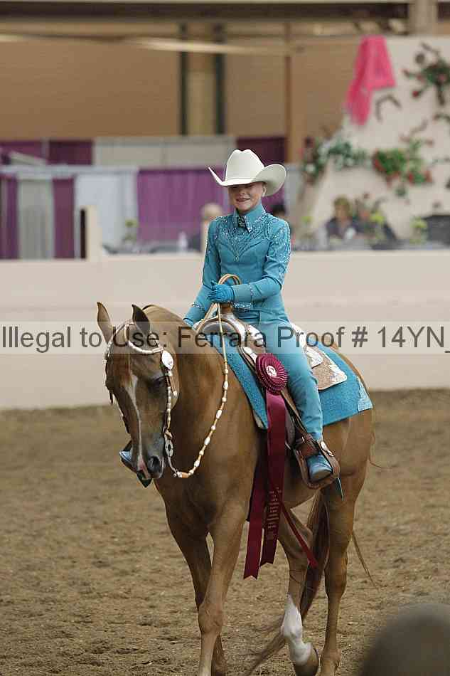 Proof 14yn_25091