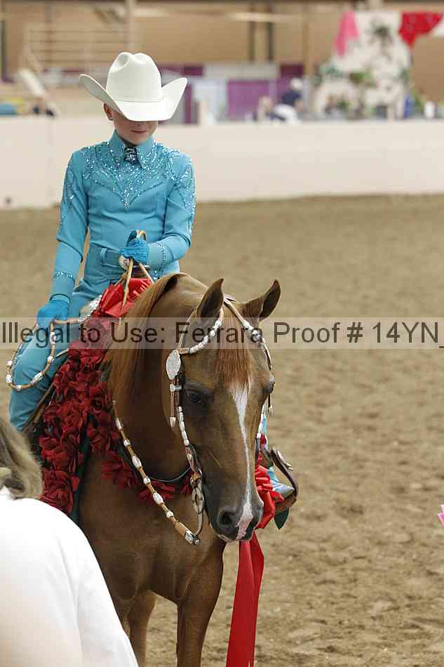 Proof 14yn_25105