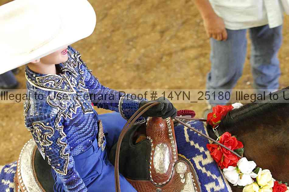 Proof 14yn_25180