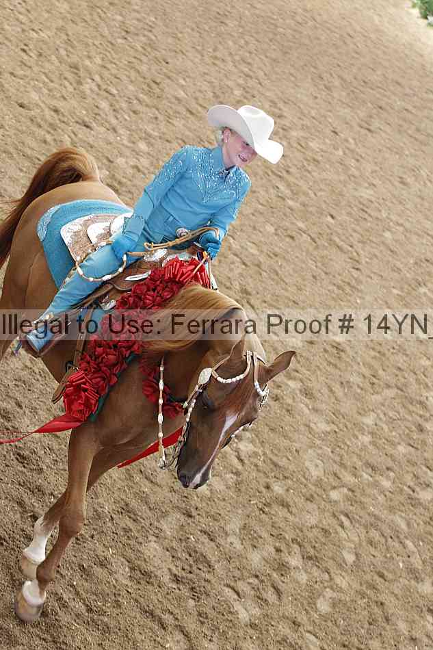 Proof 14yn_25183