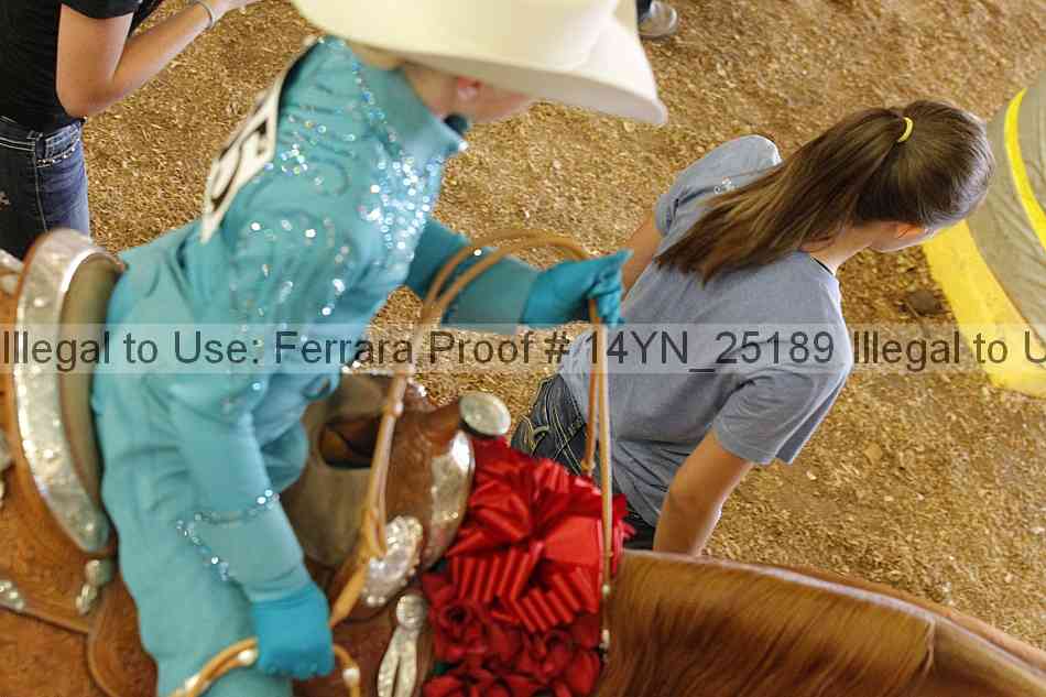 Proof 14yn_25189