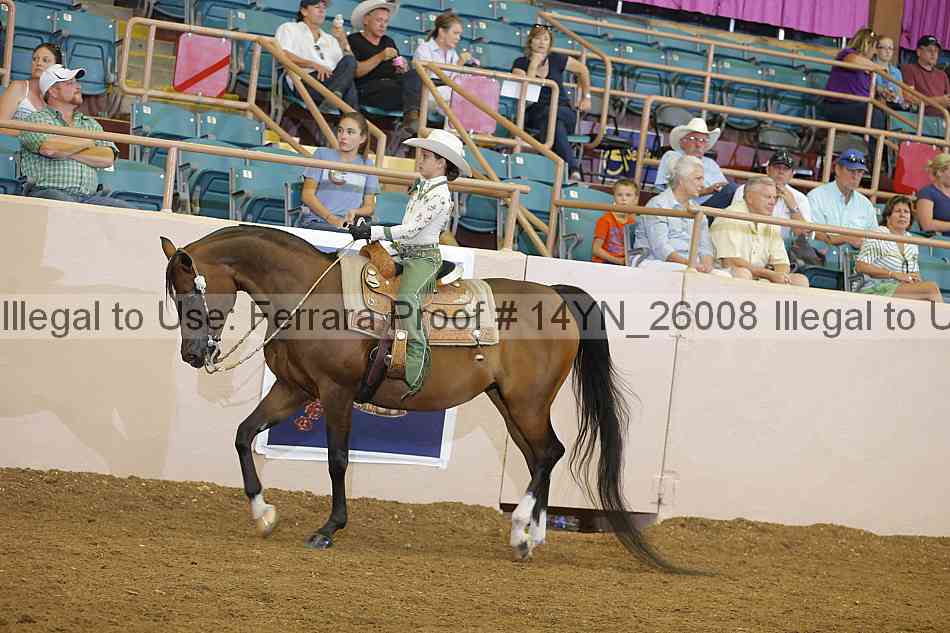 Proof 14yn_26008