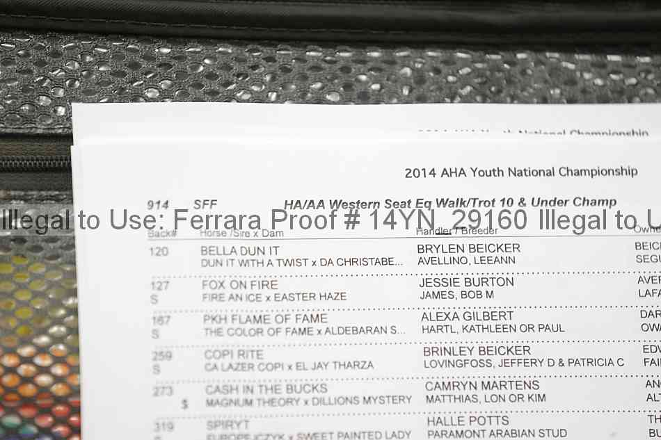 Proof 14yn_29160