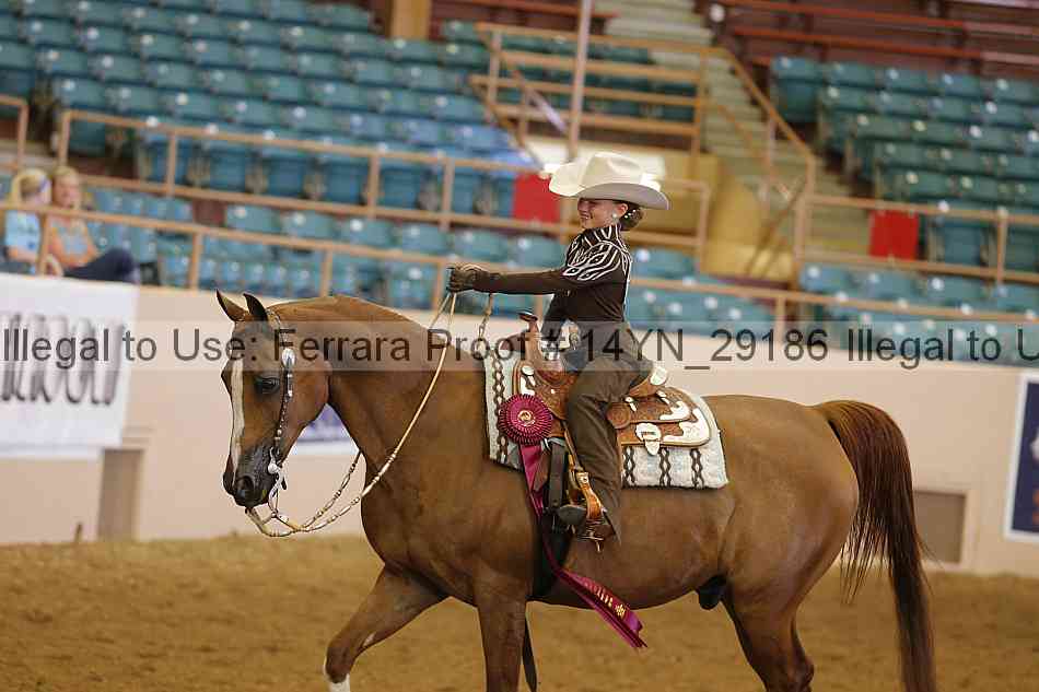 Proof 14yn_29186