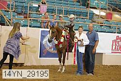 14yn_29195 proof