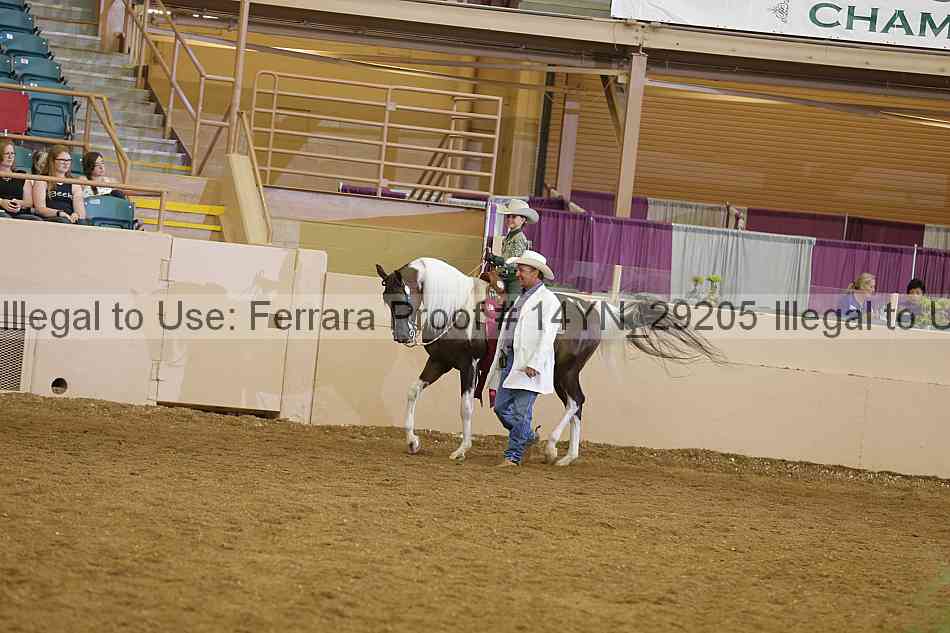 Proof 14yn_29205
