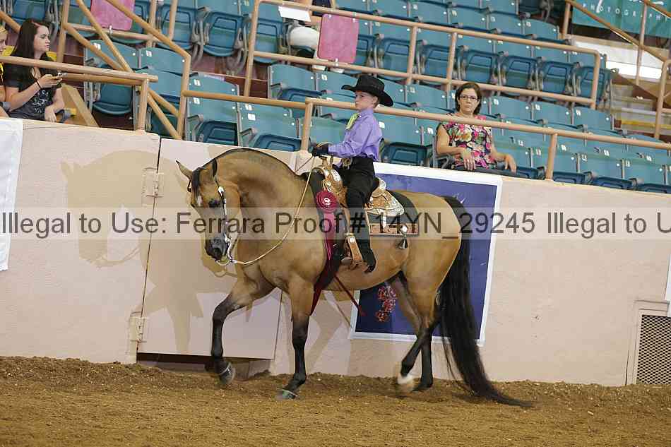 Proof 14yn_29245