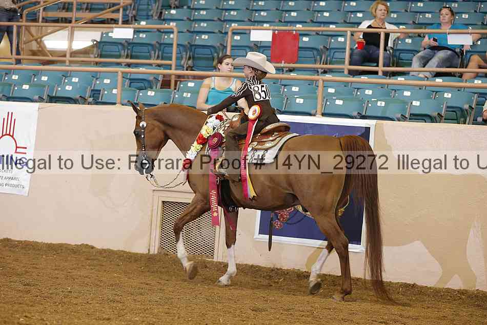 Proof 14yn_29272