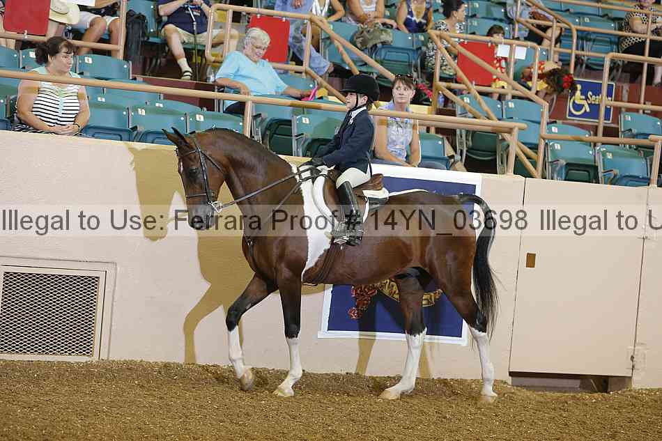 Proof 14yn_03698