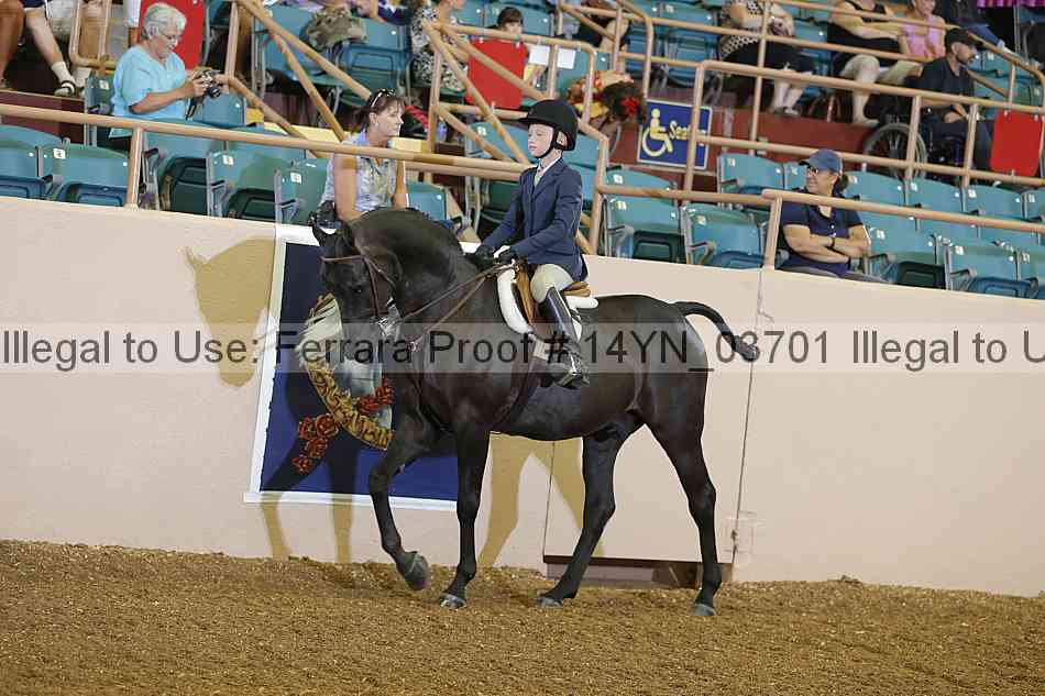 Proof 14yn_03701